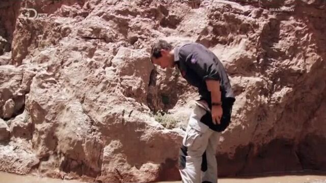 Bear grylls - british adventurer