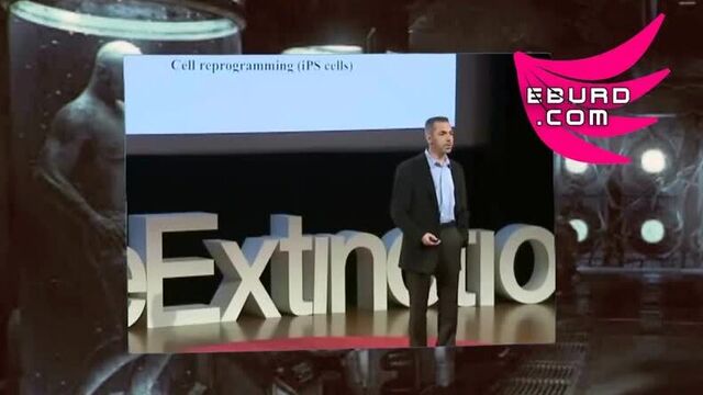 Das schockierende passiert tatsächlich bereits überall auf der welt - eburd