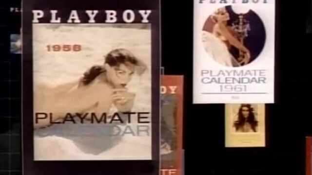 Playboy video playmate calendar 1991