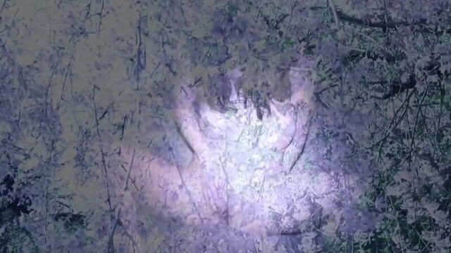 Unrest - philippe grandrieux, 2017