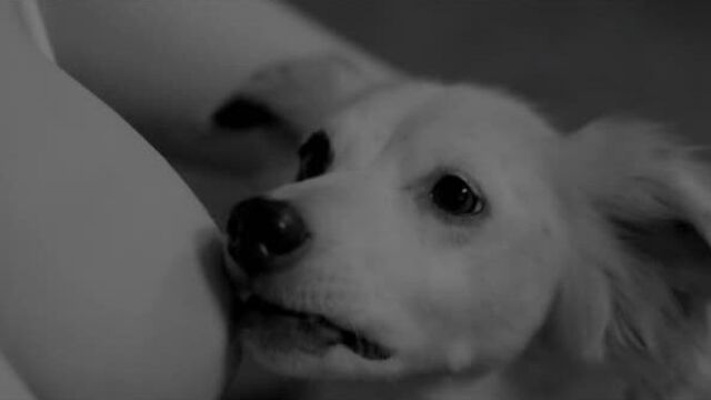 Judy greer nude - into the dark s02e09 (2020) hd 1080p watch online / джуди грир - навстречу тьме