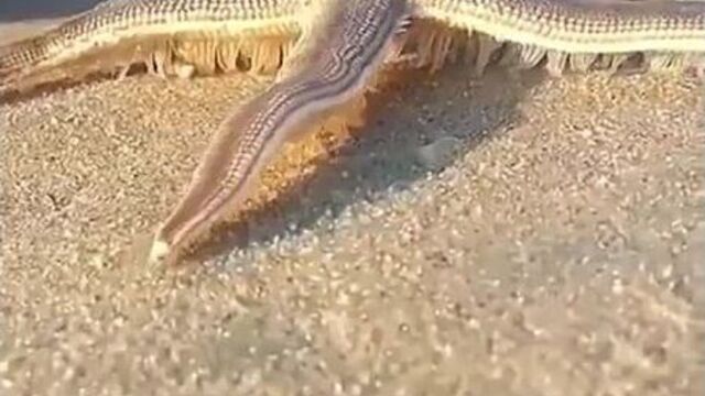 Video by danger planet-5