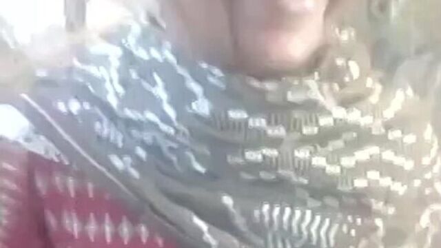 Desi gf outdoor sex(240p).mp4