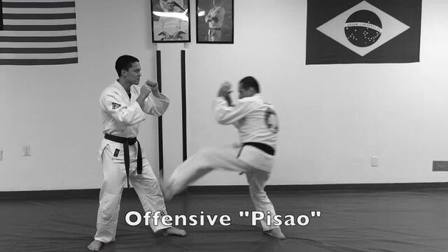 Удары в бразильском джиу джитсу elfhs d ,hfpbkmcrjv l;be l;bnce