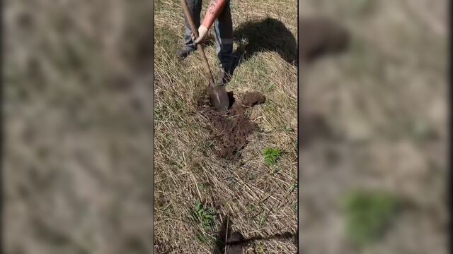 Коп металла с мд 4060