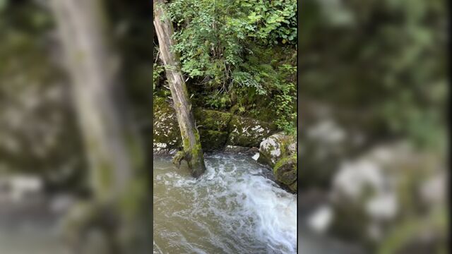 Video by дарья повереннова