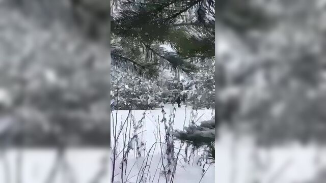 #сво_медиа #зерада ???? тг каналы несут эти пруфы как инфу от сбу, доказывающую их причастность к операции по устранению кивы.