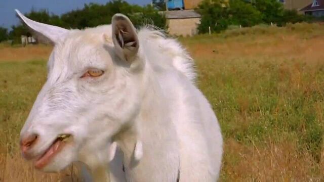 Измена жены юлии. жена чиновника. изменила что бы помочь мужу. рассказы для взрослых