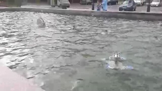 Video by вестник_n | подслушано новоуральск