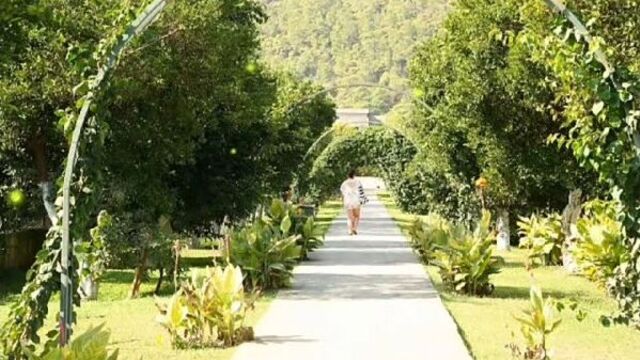 Viking garden hotel (ex. garden resort bergamot) 4*