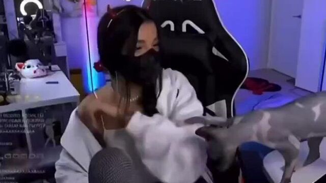 Амина тендерлибай спалила свой нос! [тупой подкат]