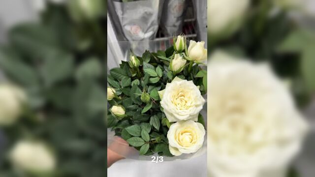 Video by садэм садовый центр | купить семена улан-удэ