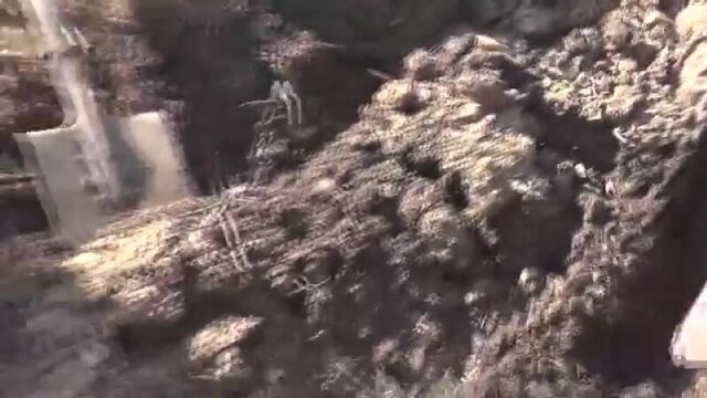 Эксгумация тел бойцов всу под дебальцево