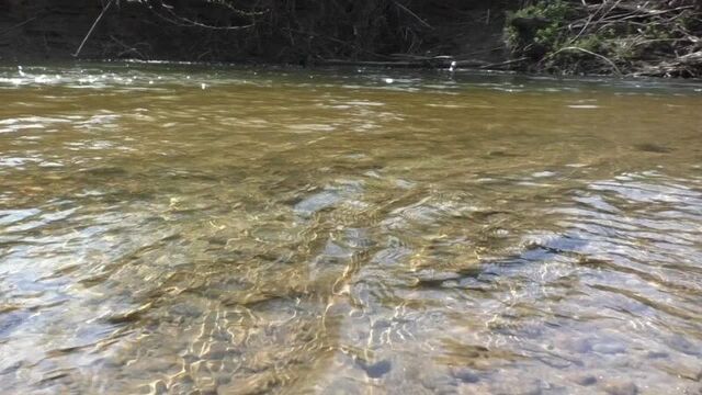 Не усни. из новых стихов