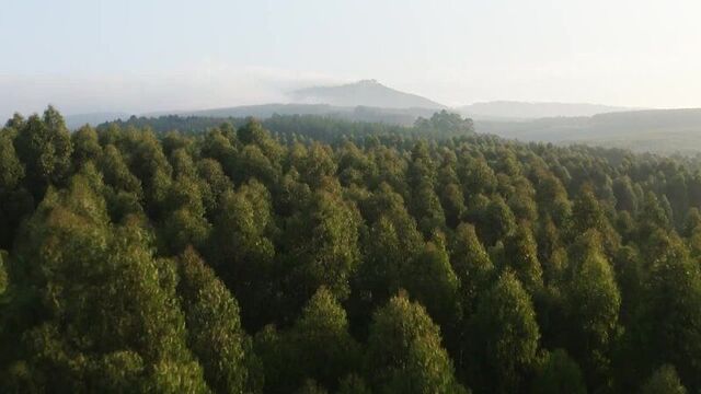 [антишнапс] stalker 2 изнасилован стас ай как просто !