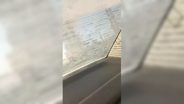 Video by freddi gilmor