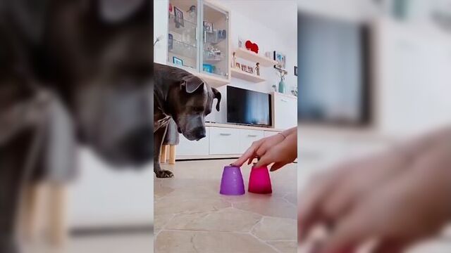 Обманули дурака на четыре кулака