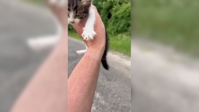 Clip by @vide0_pikabu