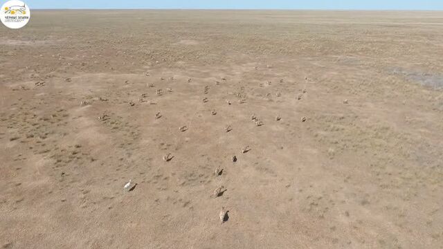 Video by типичный уральск