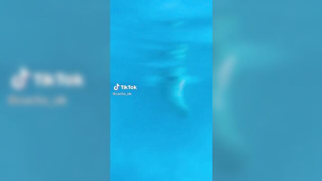 Insane ass of angelina polikarpova during swimming pool action