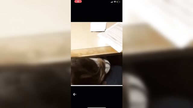 A collection of daring public library flashing with a bit of risk involved