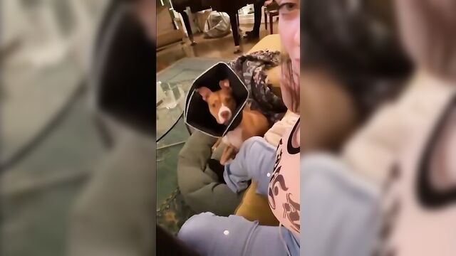 Billie eilish shakes big tits in a hot lesbian video