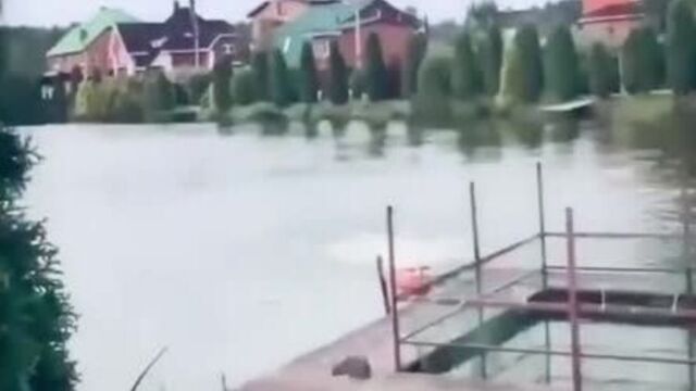 Идеальный побег... 