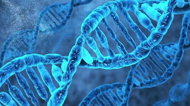 Декстер новая кровь (мини–сериал 2021)