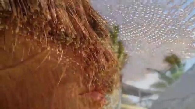 Video by anextour казань