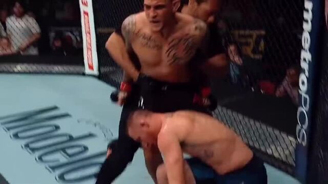 Ufc 257_ порье vs макгрегор - превью