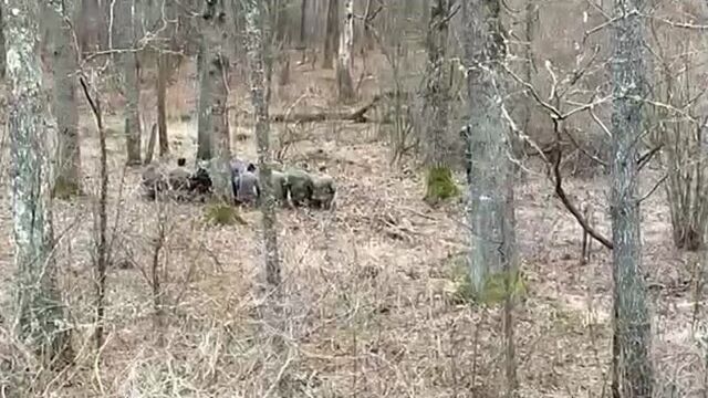 Кадыровцы под киевом