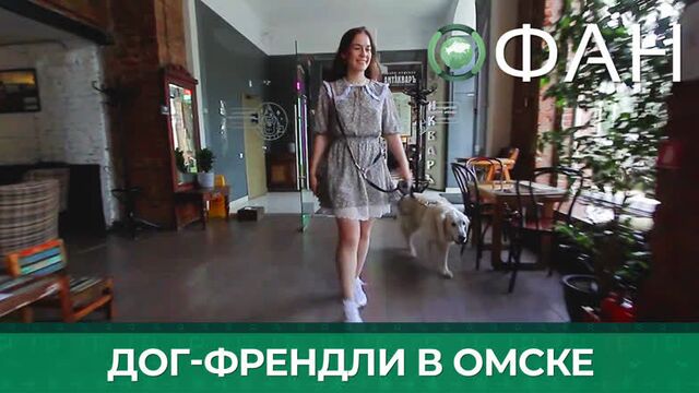 В омске появилась карта дог-френдли заведений города