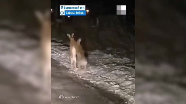 Video by подслушано мелеуз