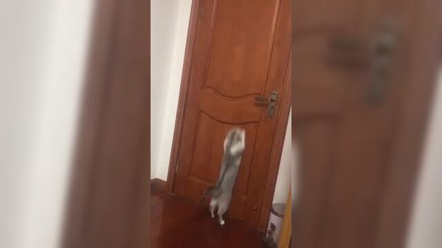 Объясни свою маленькость