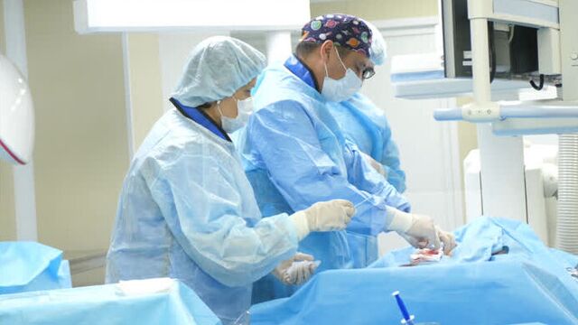 Врачи по рентген-эндоваскулярным методам диагностики и лечения из казахстана прошли обучение на базе помц фмба россии