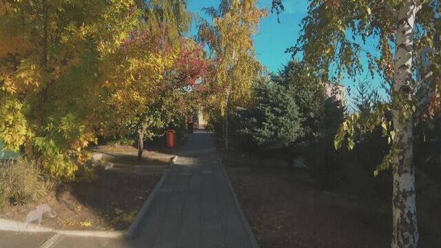 "октябрь" (элиста)