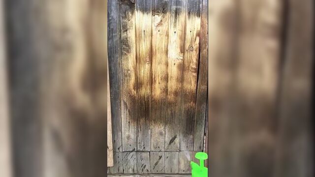 Video by типичные морки онлайн!