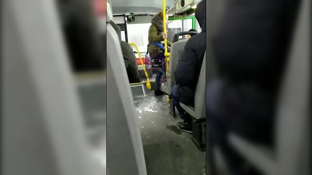 Красноярск. кондуктор пинками выгнала женщину из автобуса из-за отсутствия маски