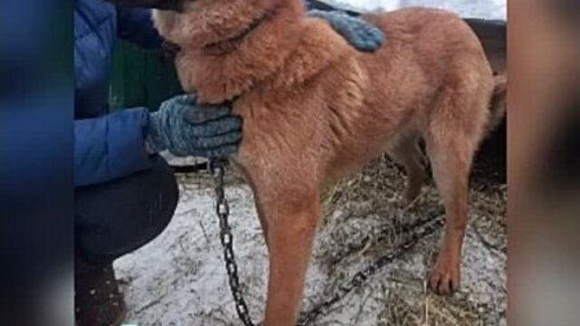 Video by подслушано. фурманов.