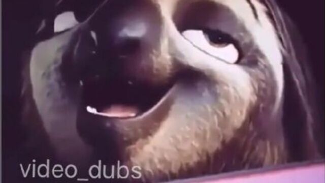 Зверополис / блиц скорость без границ 2016