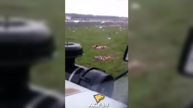 Место авиакатастрофы боинг-737 fz981 19.03.2016