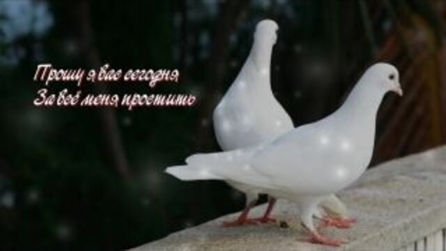 С прощенным воскресеньем! простите и не держите зла!.mp4