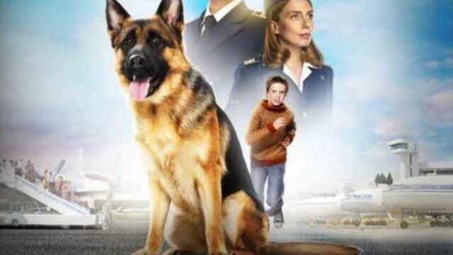 Фильм «пальма»