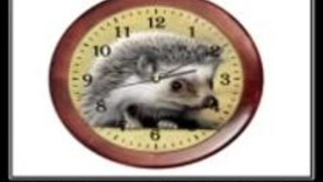 Ясос биб и яша лава