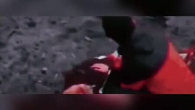 乡мамин модник папин оффник乡поймите это☝