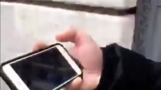 Рыза коджаоглу