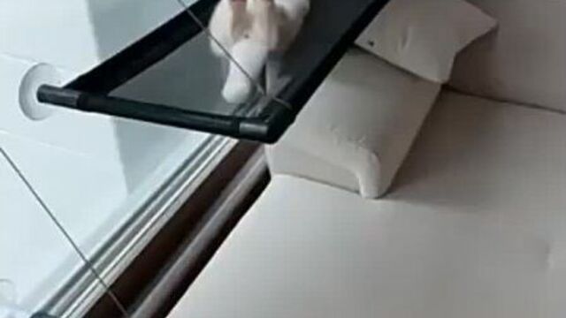 Доброе субботнее утро