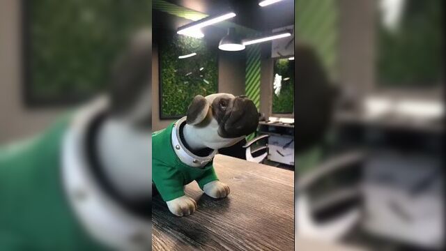 Video by барбершоп | borodach | ярославль