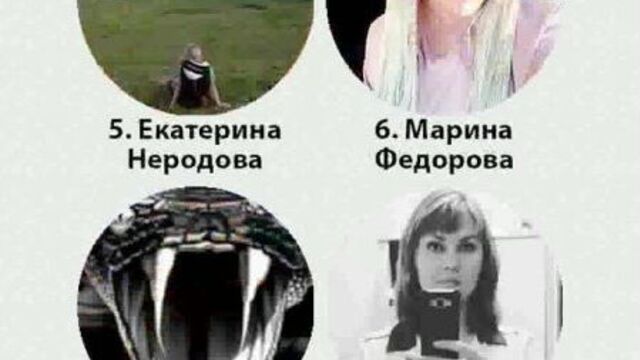 Суши sell ачинск / 18.10.2021