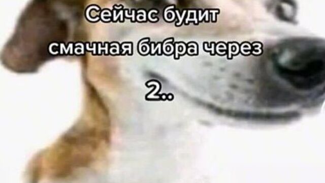 Смачная бебра